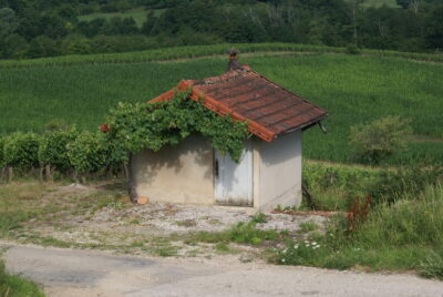 Domaine Désiré Petit