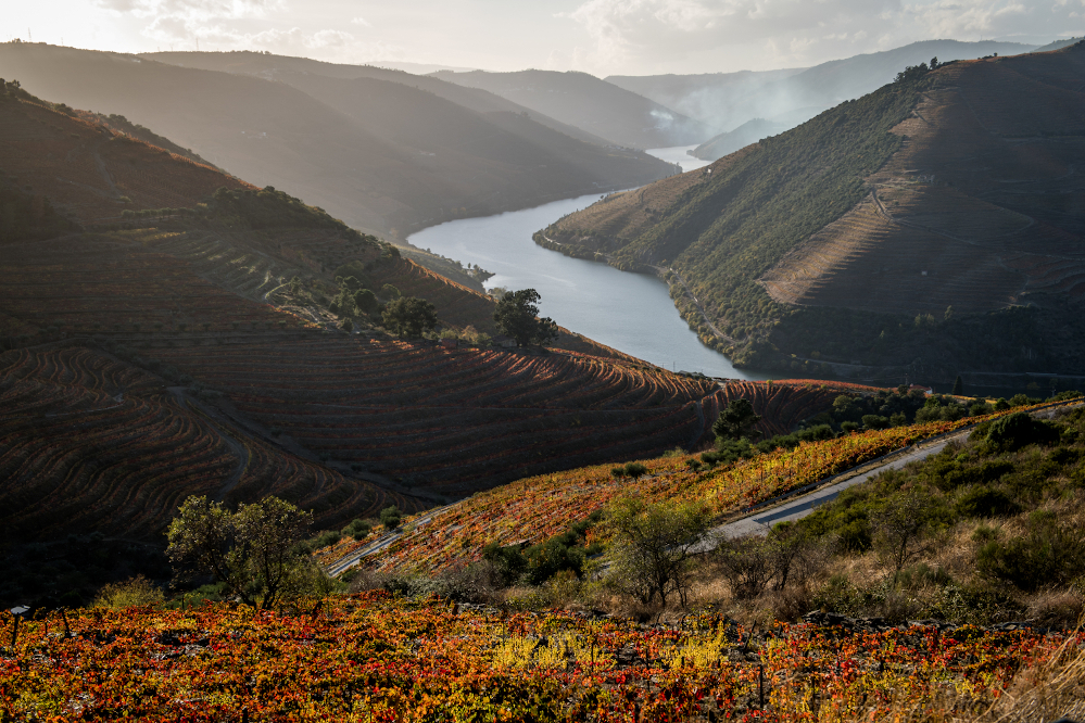 Quinta da Côrte