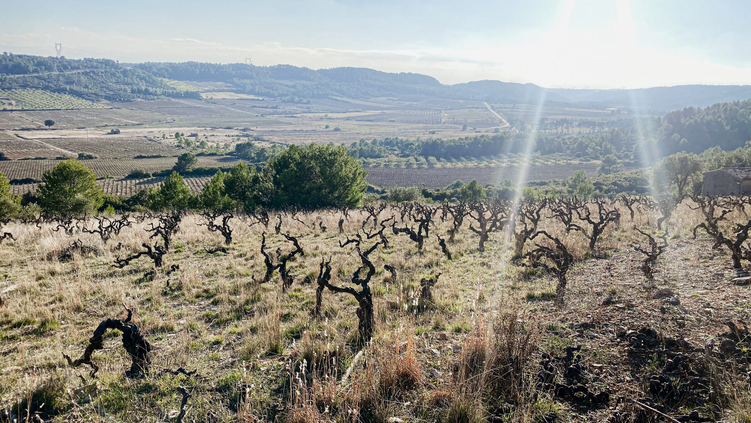 Domaine Les Eminades