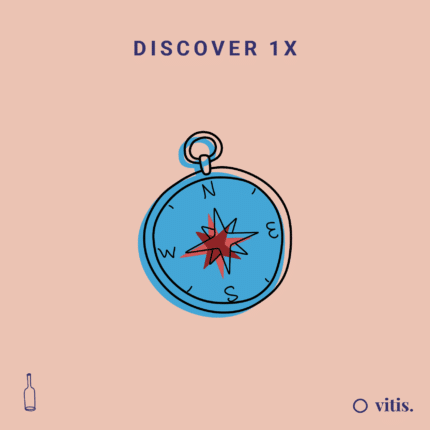 Discover Box - Vitis Vin