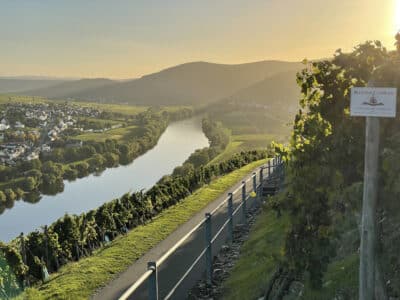 Weingut Martin Conrad