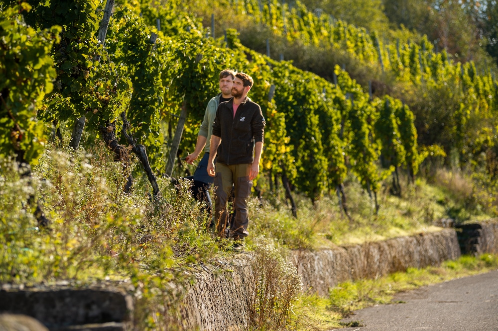 Weingut Klosterhof