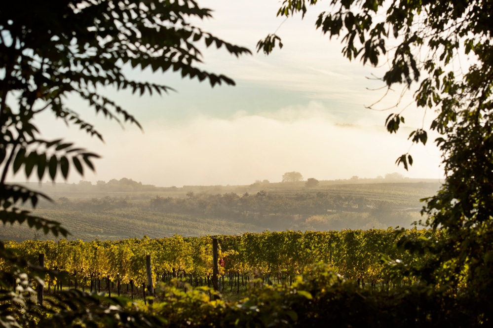 Weingut Geyerhof