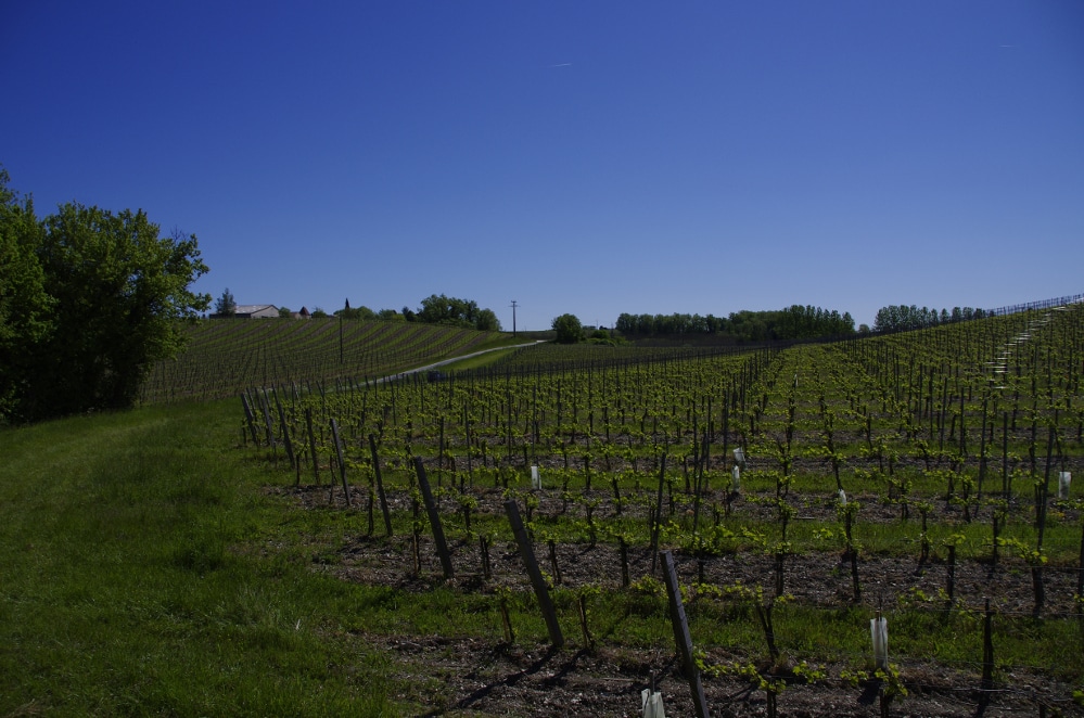 Château Tour des Gendres