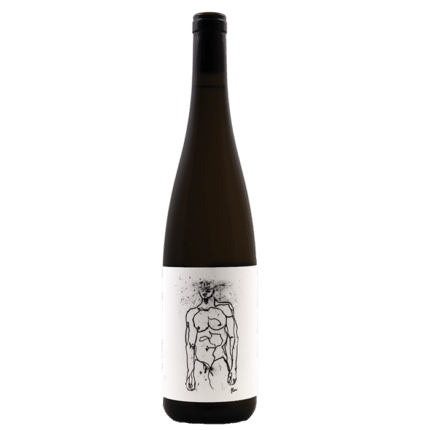 Hofstudien – Grüner Veltliner – Weingut Geyerhof 2023