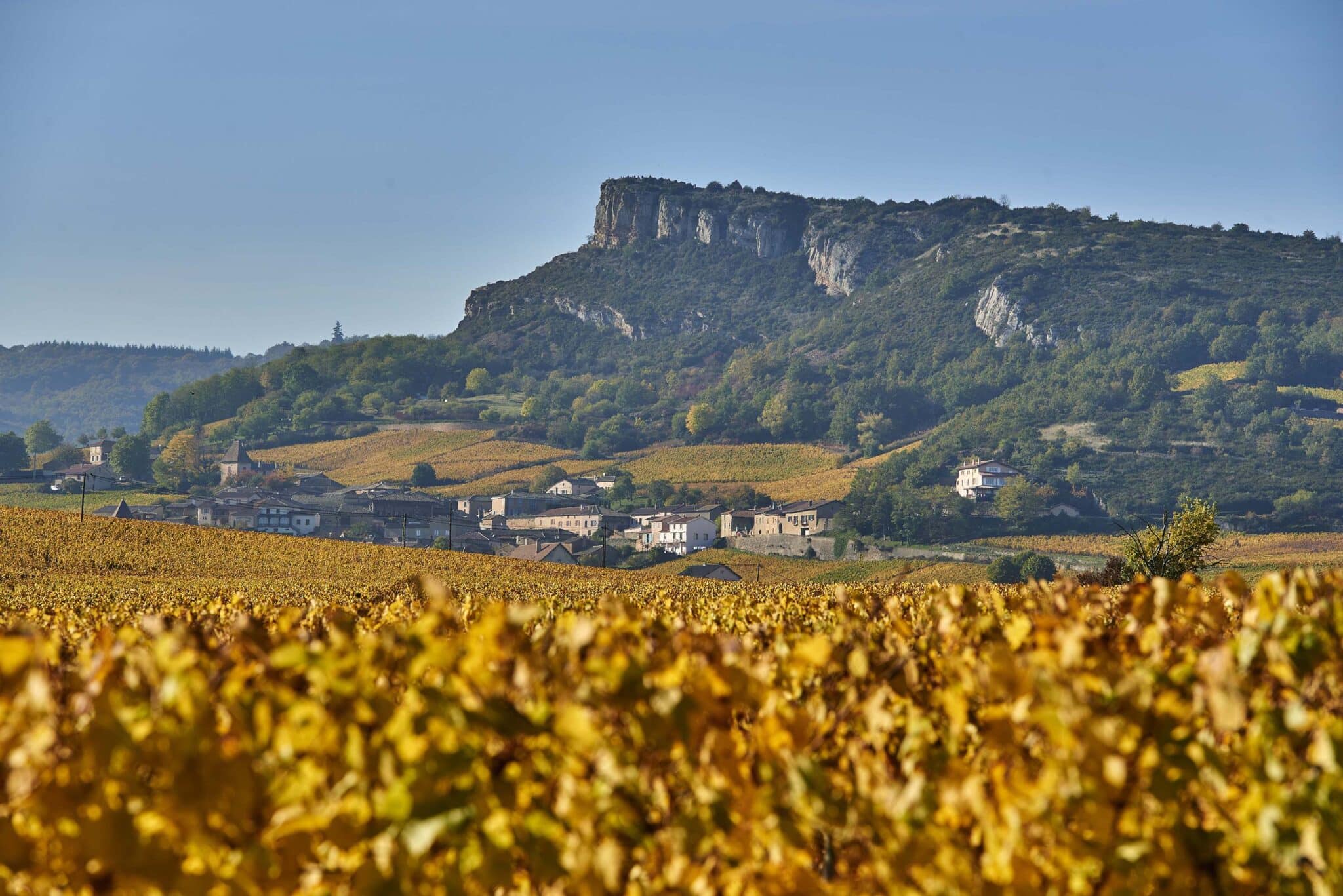 Domaine de la Croix Senaillet