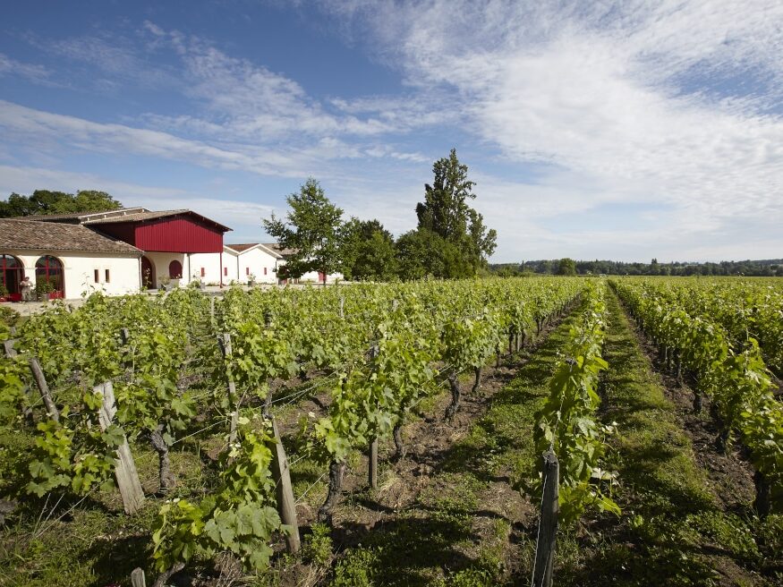 Château Grand Corbin-Despagne