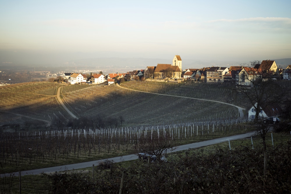 Weingut Schneider