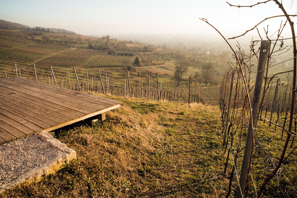 Weingut Schneider