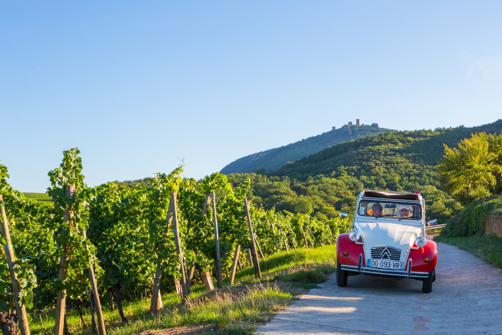 Domaine Barmès-Buecher