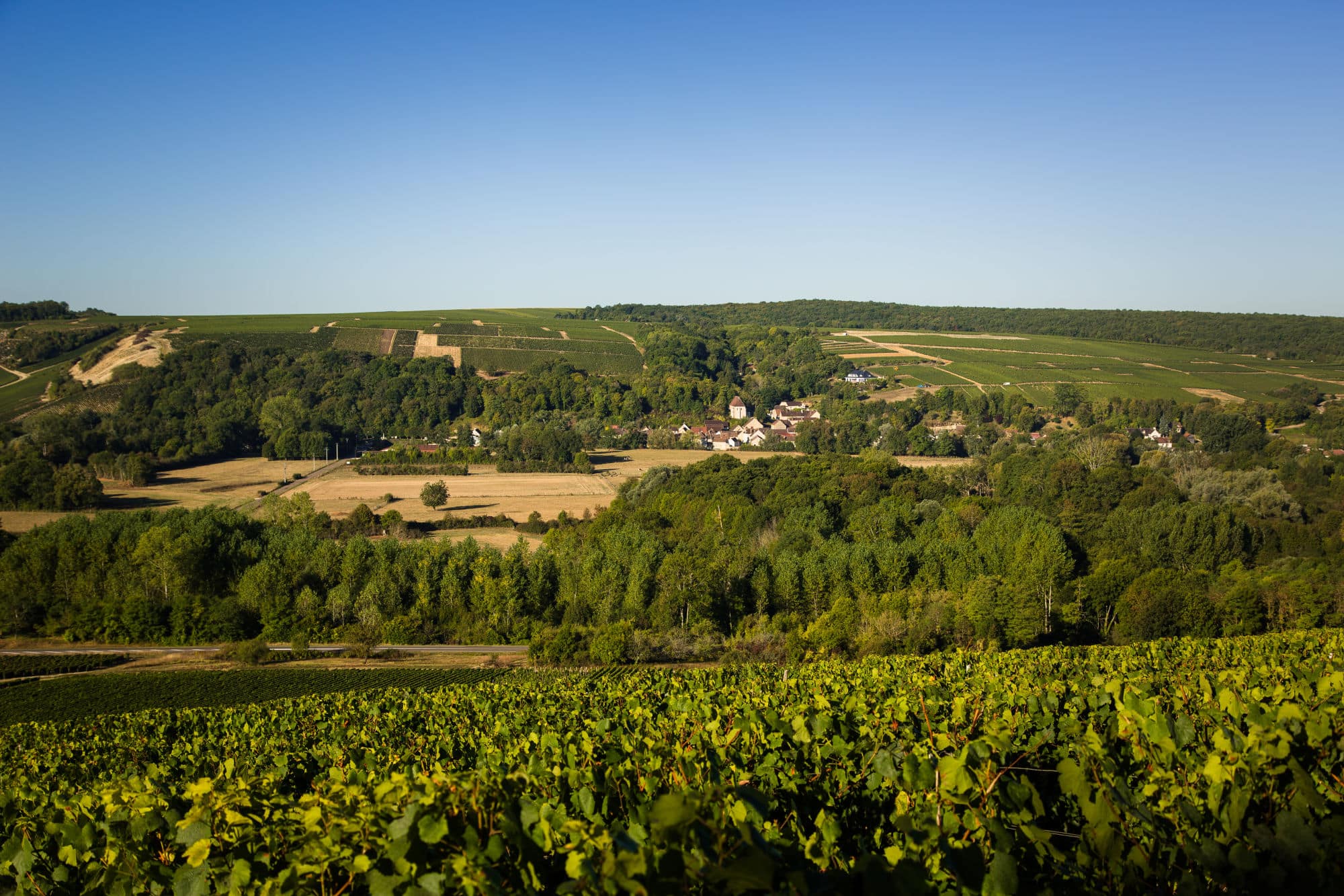 Domaine L'enclos