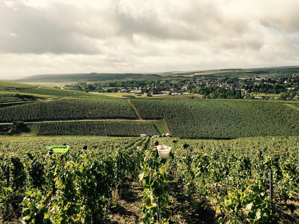 Domaine L'enclos