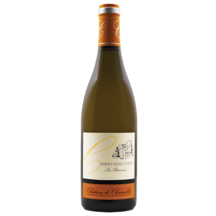 Montagny 1er Cru 'Les Burnins'