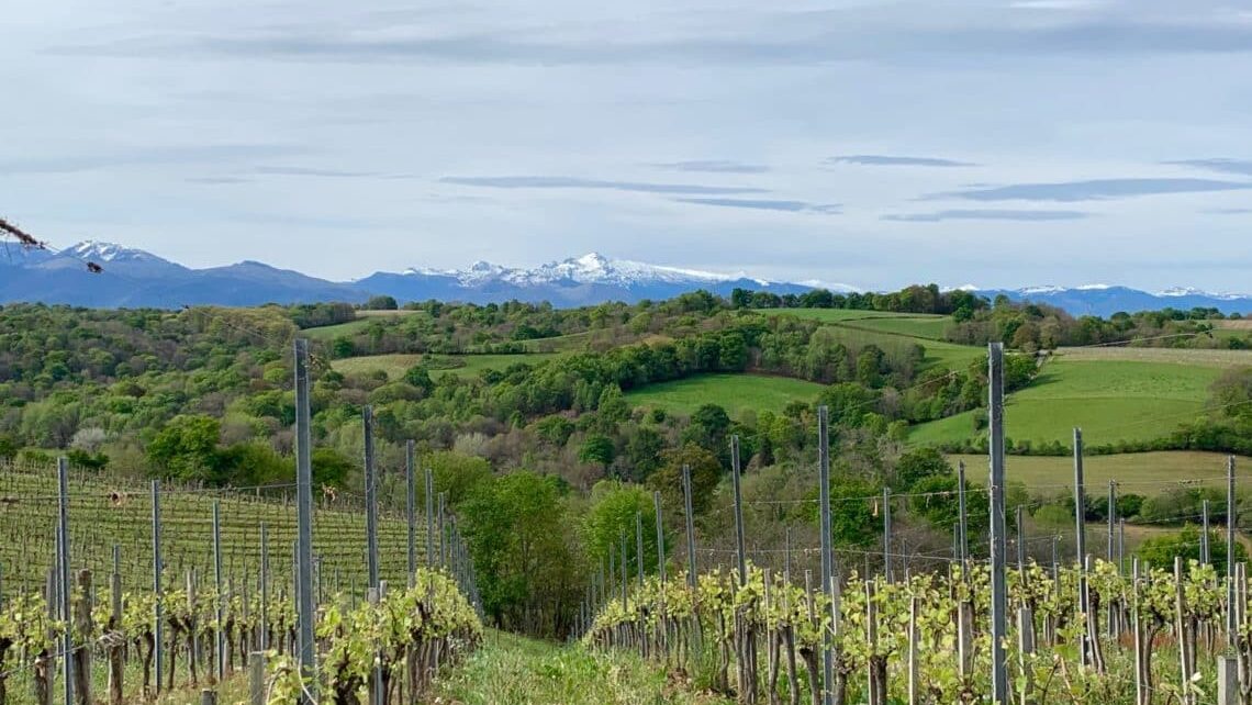 Domaine Castéra