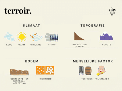 terroir